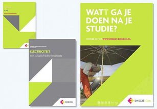 歐美enexis能源環(huán)保公司 融合企業(yè)形象設計與文化藝術交流的創(chuàng)新實踐