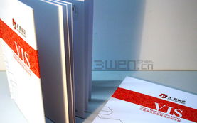 構(gòu)建品牌視覺的統(tǒng)一語言 VI、VIS設(shè)計(jì)與企業(yè)形象規(guī)范全解析